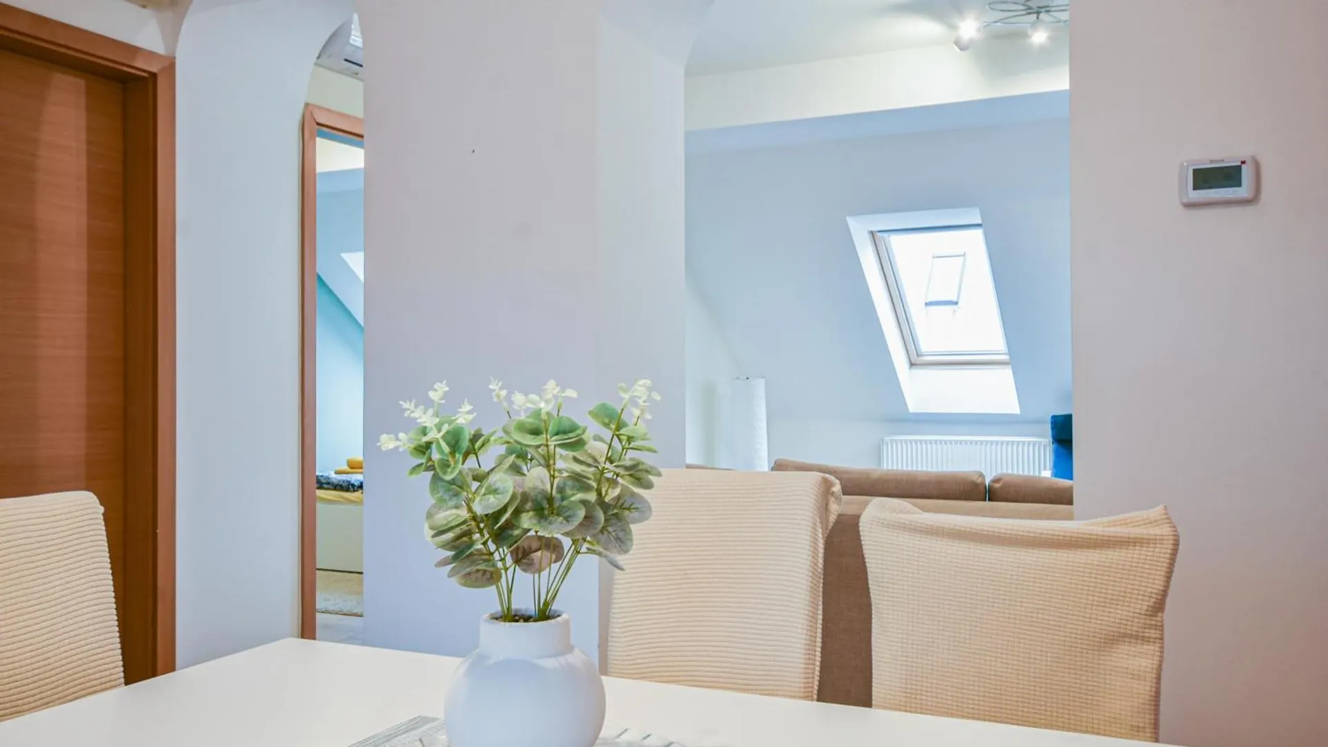 Roof Top Penthouse Apartment Budapest