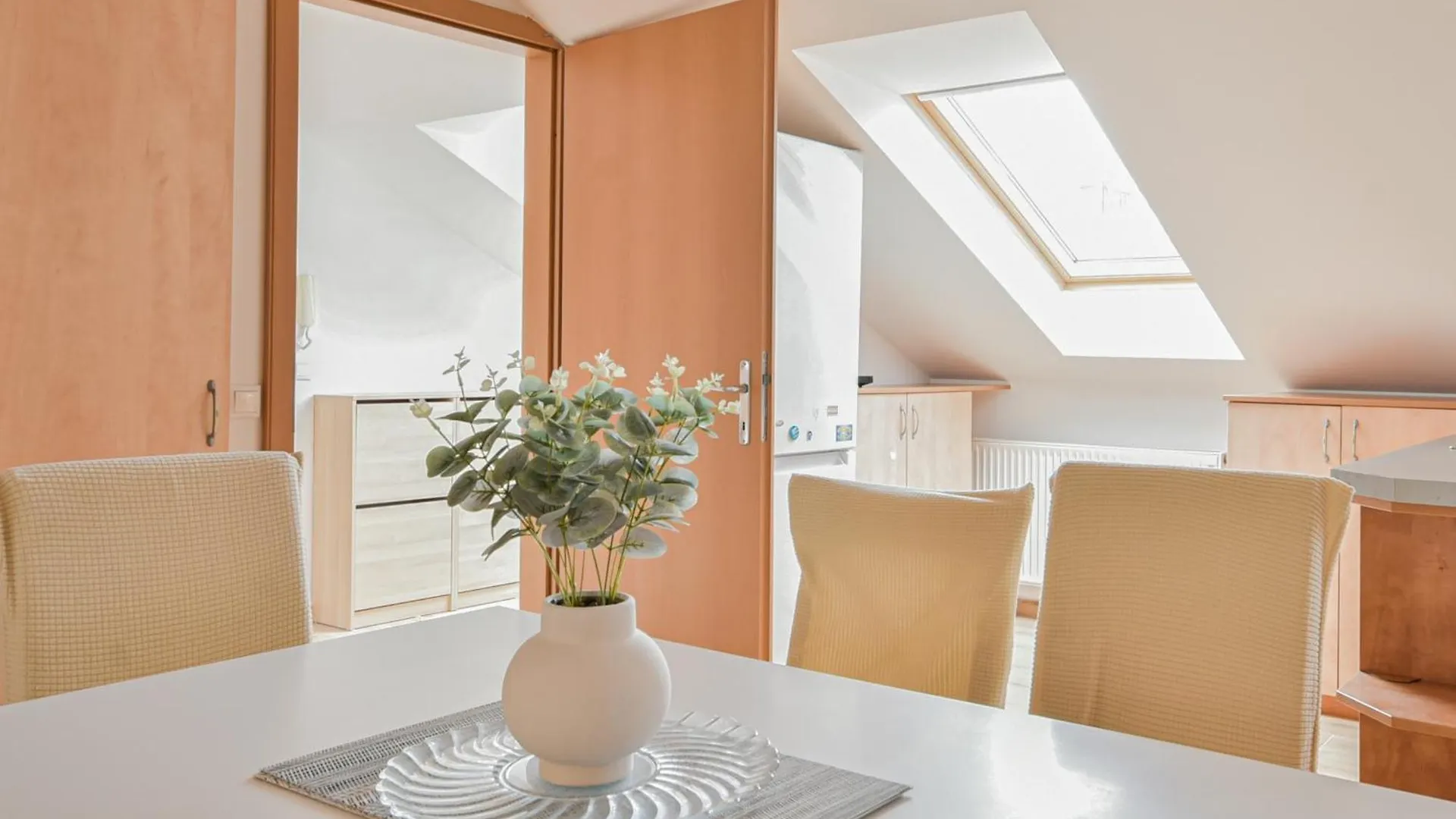 Roof Top Penthouse Apartment Budapest Hungary